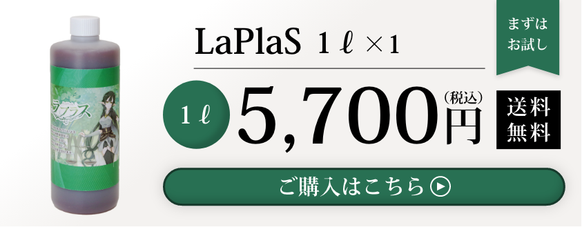 LaPlaS（ラプラス）公式サイト | 株式会社井澤商店