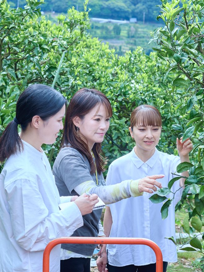 葉っぱの様子を見ている3人の女性