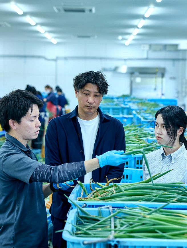 野菜を手に取っている男性とその横でその様子を見ている男性と女性。まわりには収穫された野菜がたくさんカゴの中に入っている