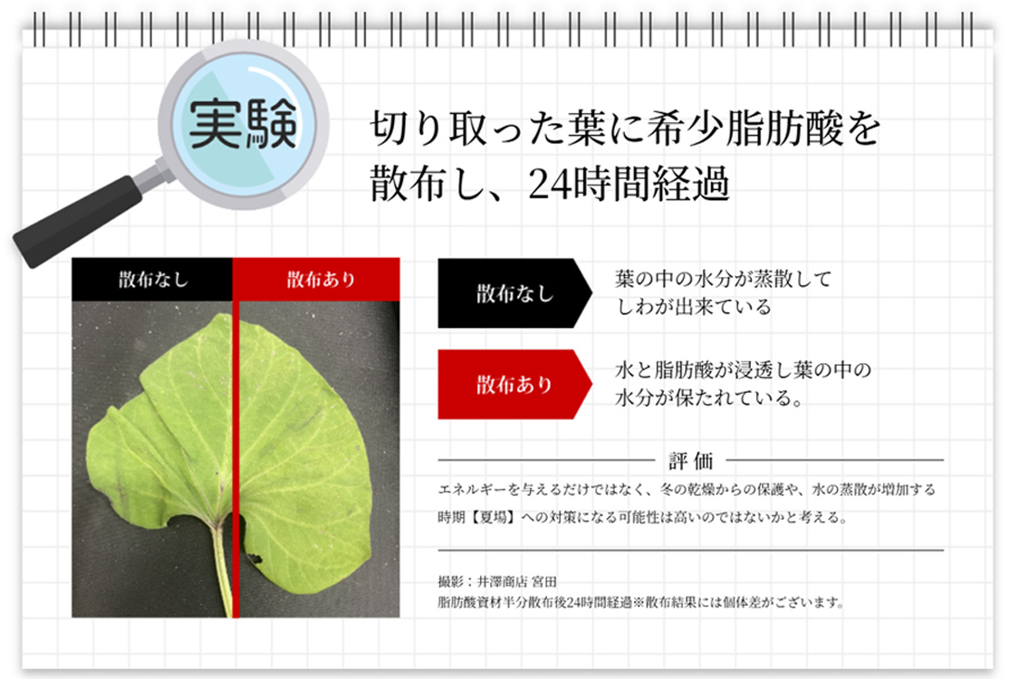 /upload/product/image/leaf-energy_youmen.jpg