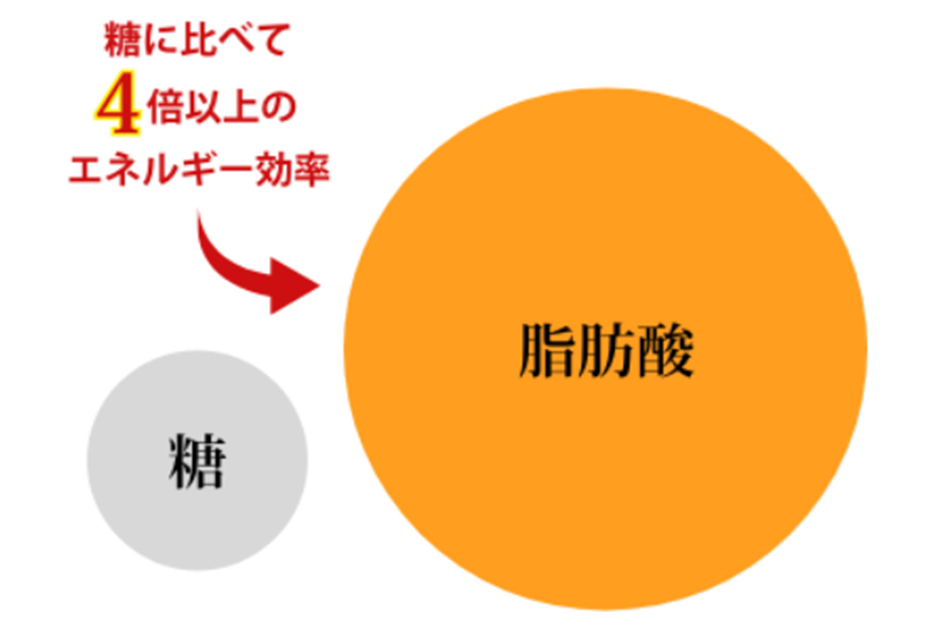 /upload/product/image/leafenegy_img03.jpg