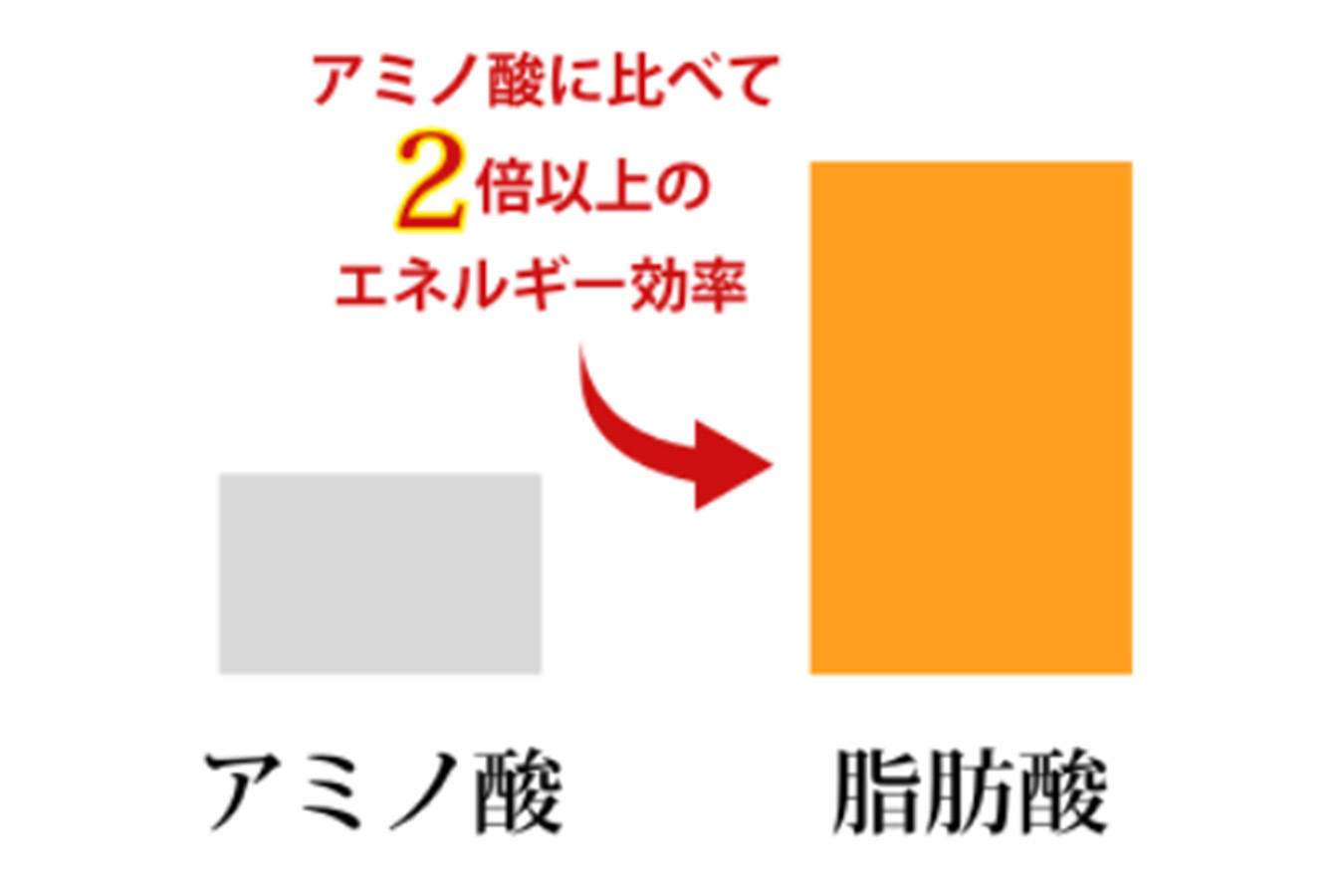 /upload/product/image/leafenegy_img04.jpg